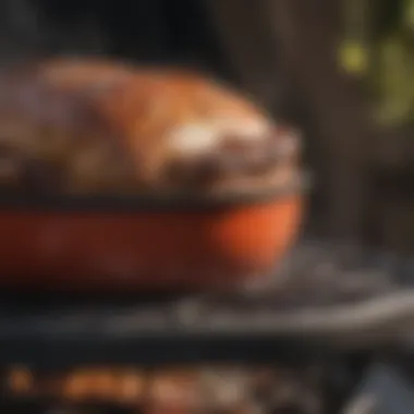 An infographic highlighting grill features based on model