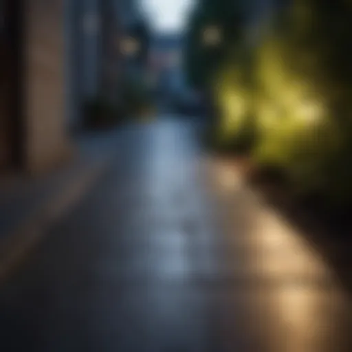 Glowing Pathway Illuminated by Outdoor Motion Light Fixture