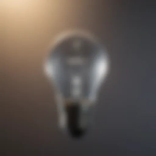 Illuminated 25 Watt Refrigerator Bulb in Action