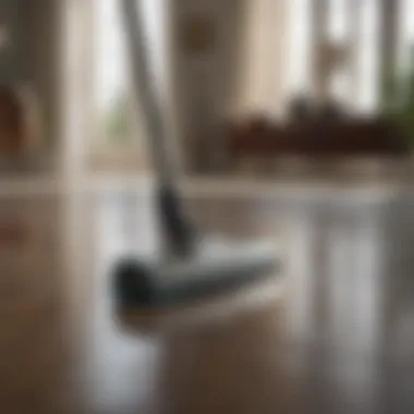 Attaining Impeccable Cleanliness Clean Living Space