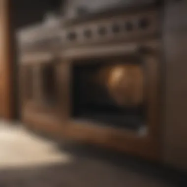 Industrial oven coated with brown high heat paint