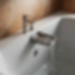 Innovative bath tub trap design