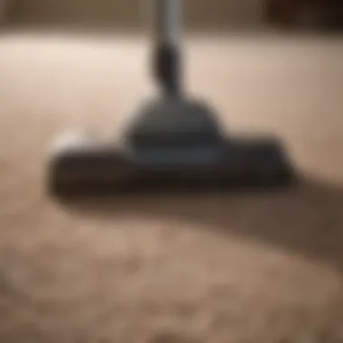 Innovative Techniques for Carpet Cleaning Innovative Cleaning Techniques for Carpets