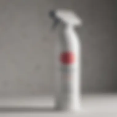 Innovative Creations: Krylon Dover White Spray Paint Techniques