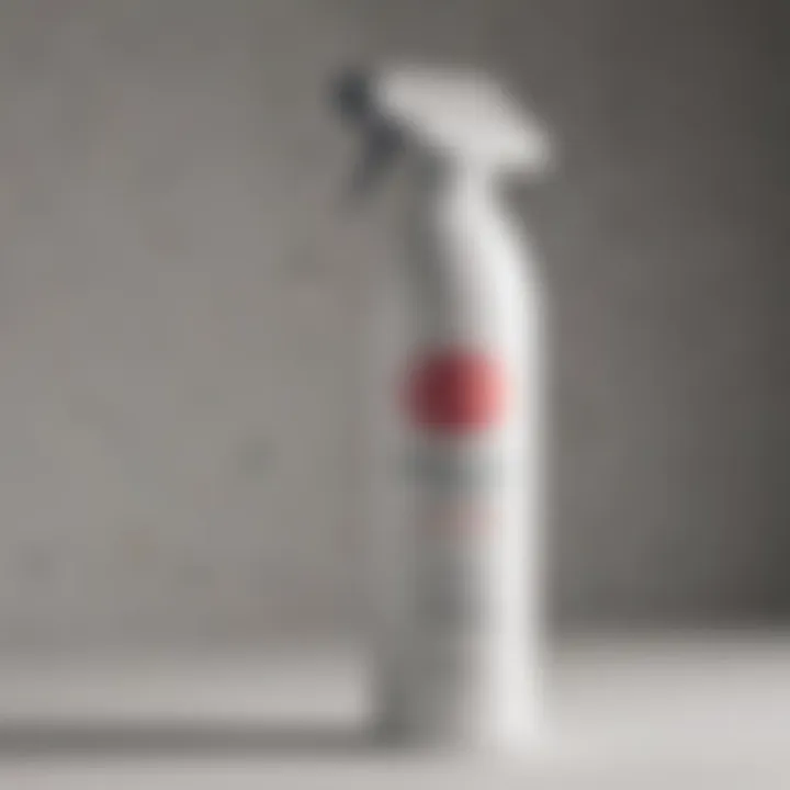 Innovative Creations: Krylon Dover White Spray Paint Techniques