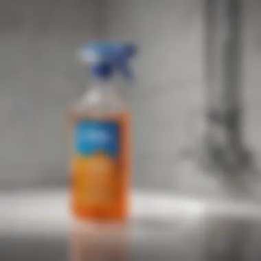 Innovative delivery options for Wet and Forget shower cleaner