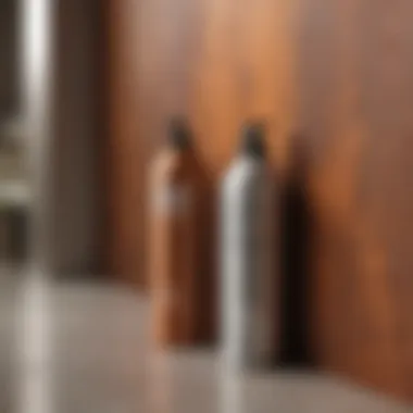 Exploring Innovative Design Applications with Rust-Oleum Frost Spray Innovative Design Applications