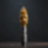 Innovative drill bit design