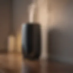 Innovative Heater Humidifier Combo