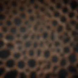 Innovative lattice structure design