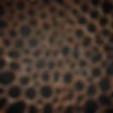 Revolutionary Design of Small Hole Lattice Innovative lattice structure design