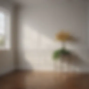 Effortless Peel and Stick Base Molding Installation in Minimalist Interior