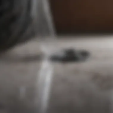 Leak Stopper Rubber Flexx Clear Application Leak Stopper Rubber Flexx Clear Application