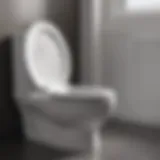 Innovative toilet seat design