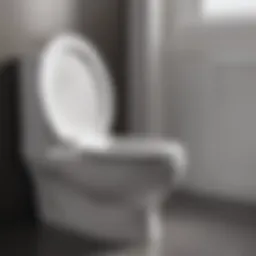 Innovative toilet seat design