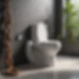 Innovative Toilet Snake