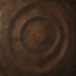 Intricate Pattern of Connection