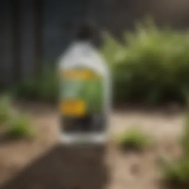 Killzall Weed Killer Compared to Other Herbicides Comparison of Killzall Weed Killer with other herbicides