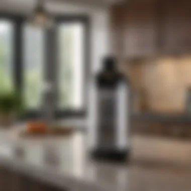 Maintenance tips for optimal performance of kitchen sprayer