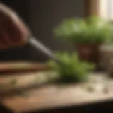 KitchenAid Scissors cutting fresh herbs