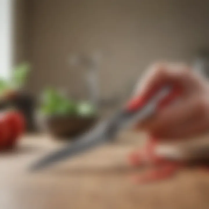 KitchenAid Scissors with ergonomic handle design