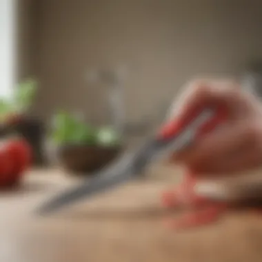 Ergonomic Excellence: Design of KitchenAid Scissors KitchenAid Scissors with ergonomic handle design