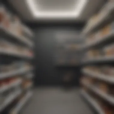 Innovative Organization System Innovative Organization System using Knape & Vogt Shelving