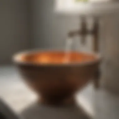 Kohler tank to bowl kit maintenance checklist