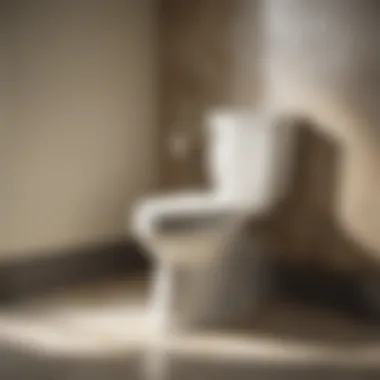 Kohler Wellworth toilet tank components