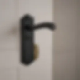 Elegant Larson black storm door handle design