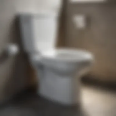 Illustration showcasing a leak-free toilet installation after replacing the flange ring