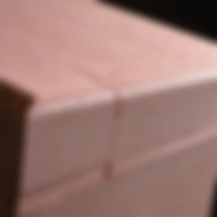 Light pink spray paint creating a chic finish on wood
