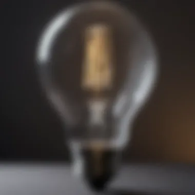 Long-Lasting LED Light Bulb with 2 Prongs