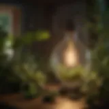 Lush green plants under 60W grow light bulb