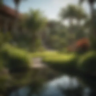 Lush Oasis with Scotts Bermuda Grass