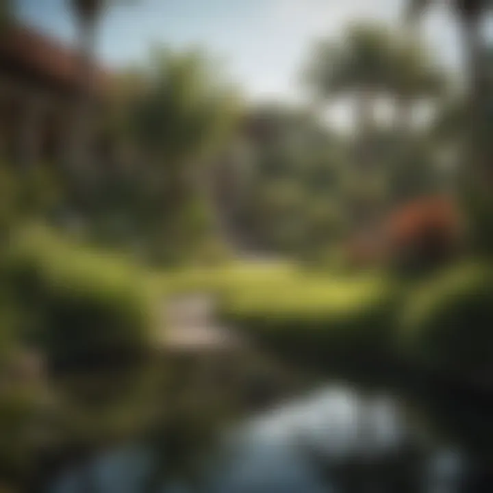 Lush Oasis with Scotts Bermuda Grass