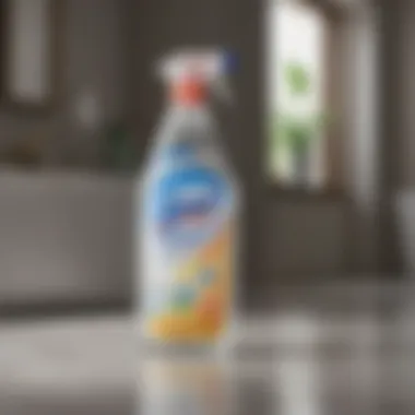 Exploring Lysol Multi-Surface Cleaner Usage