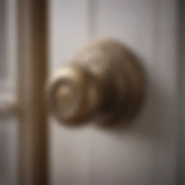 Close-up of main door knob mechanism for enhanced security