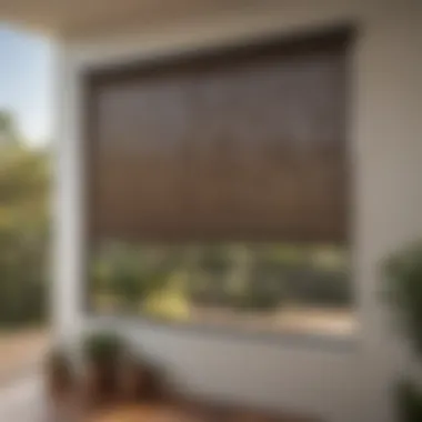 Maintenance Tips for Longevity of Coolaroo Cordless Exterior Roller Shade