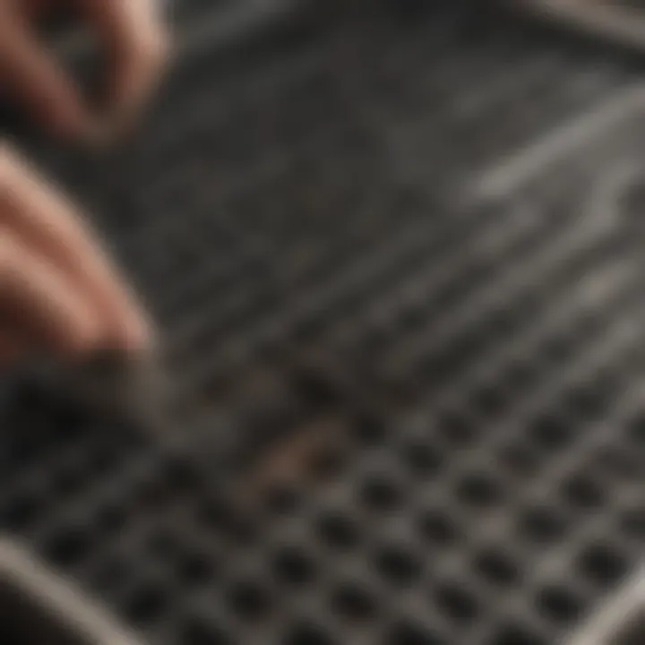 Maintenance tips for Weber Genesis 300 Series stainless steel grates
