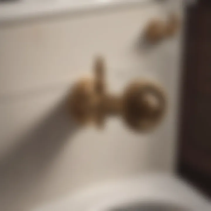 Illustration of Mansfield Toilet Tank Lever