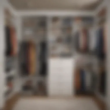 Organized Closet Space with ClosetMaid