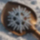 Snowflake patterns on shovel
