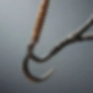 A detailed shot of a fish hook being tied to a fishing line with precision