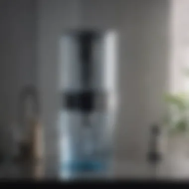 Zero Water Filter Efficiency Strategies