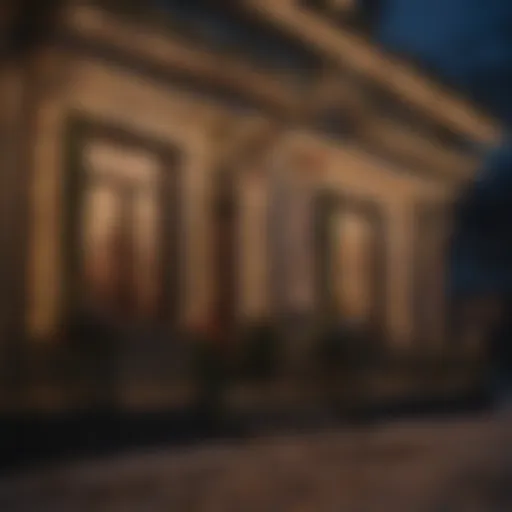 Elegant Christmas Lights Display