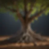 Healthy tree roots absorbing nutrients