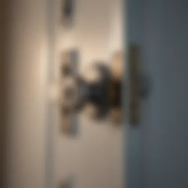 Aesthetically Pleasing Security Modern indoor latch lock design