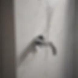 Modern flush handle kit on elegant bathroom wall