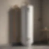 Modern 40 Gallon LP Hot Water Heater Design